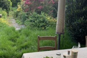 Screenshot Screenshot